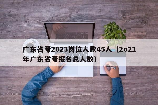 广东省考2023岗位人数45人（2o21年广东省考报名总人数）