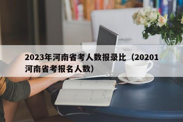 2023年河南省考人数报录比（20201河南省考报名人数）