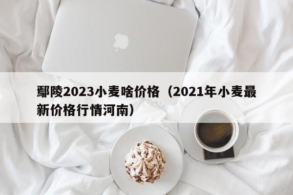 鄢陵2023小麦啥价格（2021年小麦最新价格行情河南）
