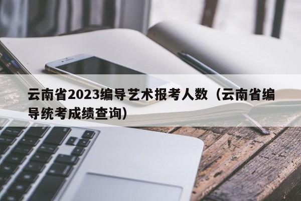 云南省2023编导艺术报考人数（云南省编导统考成绩查询）